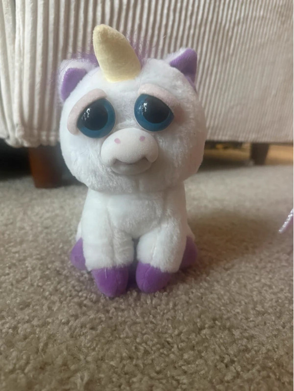 Feisty pet
